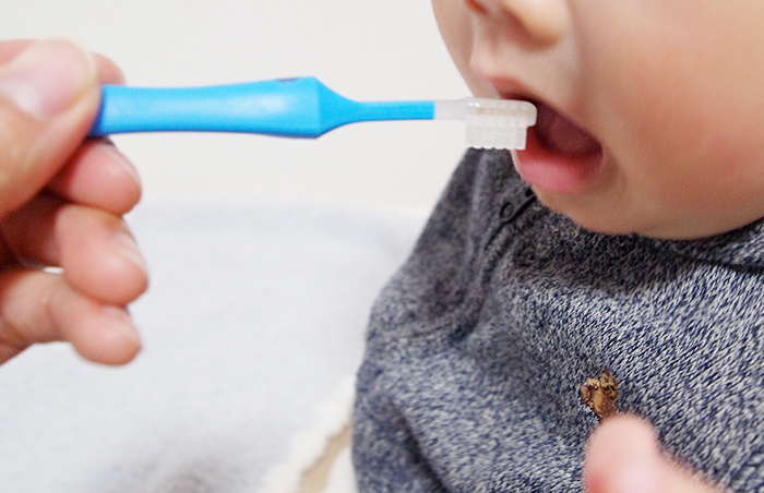 赤ちゃんの歯ブラシはいつから 教えて めばえちゃん 子供の歯の応援室